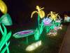 128 - 20221228 Jardin Des Plantes SONY