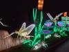 133 - 20221228 Jardin Des Plantes SONY