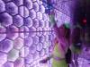 154 - 20230518 Resorts World Transfix
