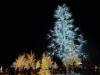 101 - 20231214 Enchanted Xmas SJ SONY