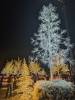 102 - 20231214 Enchanted Xmas SJ Google