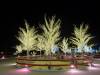 103 - 20231214 Enchanted Xmas SJ SONY