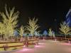 105 - 20231214 Enchanted Xmas SJ Google
