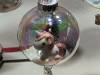119 - 20231214 Enchanted Xmas SJ Google