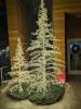 122 - 20231214 Enchanted Xmas SJ Google