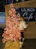 126 - 20231214 Enchanted Xmas SJ Google