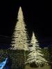 134 - 20231214 Enchanted Xmas SJ SONY
