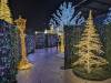 143 - 20231214 Enchanted Xmas SJ Google