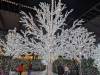 144 - 20231214 Enchanted Xmas SJ Google