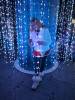 155 - 20231214 Enchanted Xmas SJ Google