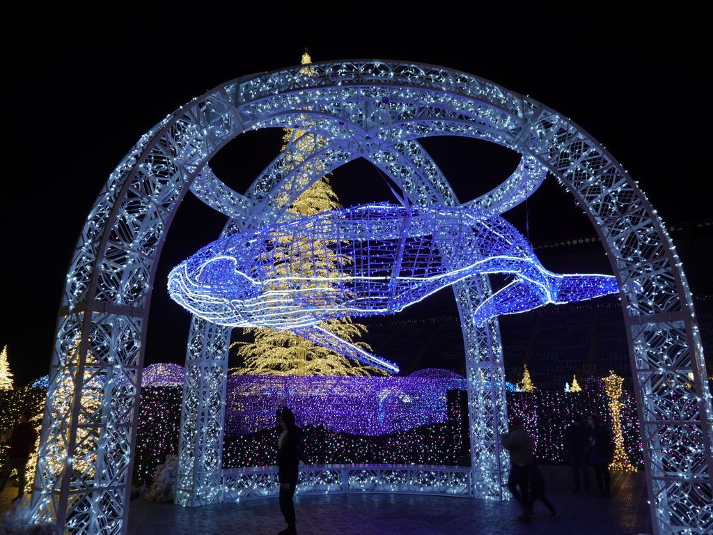 139 - 20231214 Enchanted Xmas SJ SONY