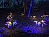 4104 - 20231230 Xmas at Heaton Park Google