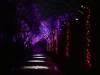 4112 - 20231230 Xmas at Heaton Park SONY