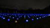 4122 - 20231230 Xmas at Heaton Park Panasonic