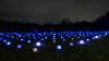 4123 - 20231230 Xmas at Heaton Park Panasonic