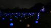 4124 - 20231230 Xmas at Heaton Park Panasonic