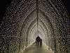 4126 - 20231230 Xmas at Heaton Park Google