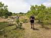 120 - 20240408 Texas Eclipse Google