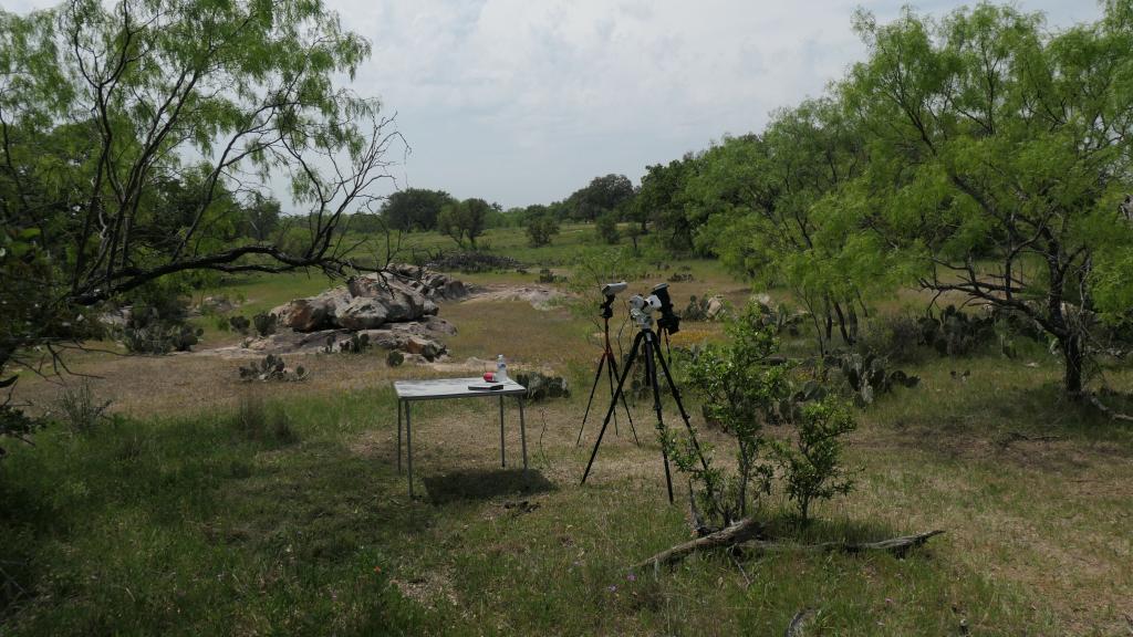 149 - 20240408 Texas Eclipse Panasonic