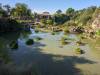 3114 - 20240412 Japanese Garden Google