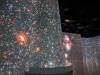 105 - 20240516 Illuminarium Las Vegas Google