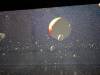 143 - 20240516 Illuminarium Las Vegas Google