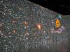 155 - 20240516 Illuminarium Las Vegas Google