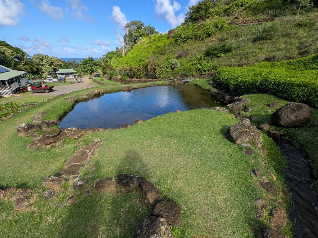 1910 - 20241204 Limahuli Gardens Google