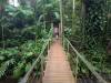 1808 - 20241204 Princeville Botanical Gardens Google