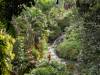 1821 - 20241204 Princeville Botanical Gardens Google