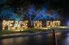 144 - 20241212 Festival of Lights Panasonic
