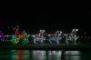 153 - 20241212 Festival of Lights Panasonic