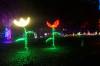 165 - 20241212 Festival of Lights Panasonic