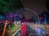 172 - 20241212 Festival of Lights Google