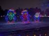 173 - 20241212 Festival of Lights Google