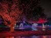 180 - 20241212 Festival of Lights Google