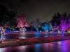 181 - 20241212 Festival of Lights Google
