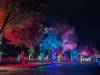 183 - 20241212 Festival of Lights Google