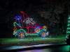 185 - 20241212 Festival of Lights Google