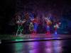 186 - 20241212 Festival of Lights Google