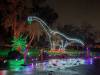 189 - 20241212 Festival of Lights Google