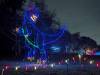 190 - 20241212 Festival of Lights Google