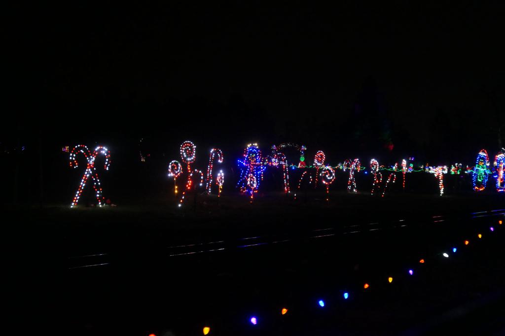 113 - 20241212 Festival of Lights Panasonic