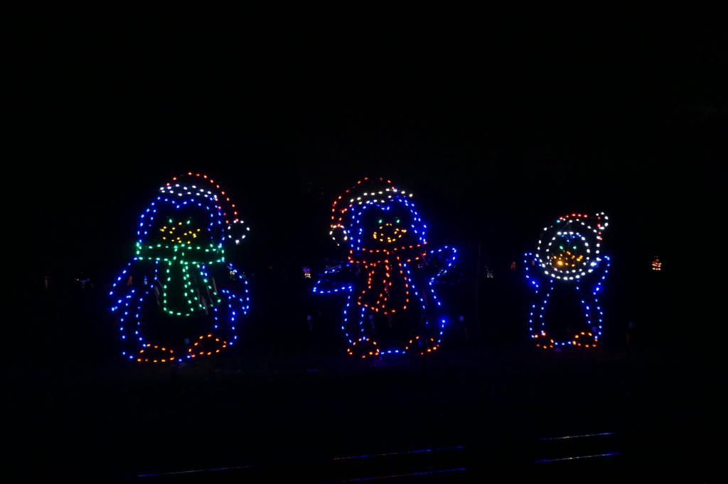 114 - 20241212 Festival of Lights Panasonic