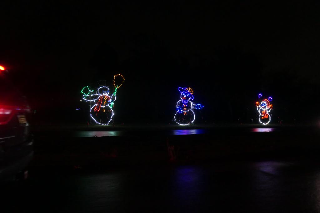 132 - 20241212 Festival of Lights Panasonic