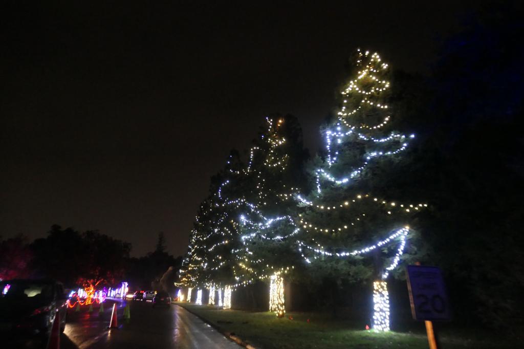 133 - 20241212 Festival of Lights Panasonic