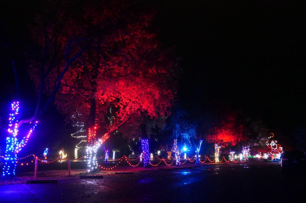 139 - 20241212 Festival of Lights Panasonic