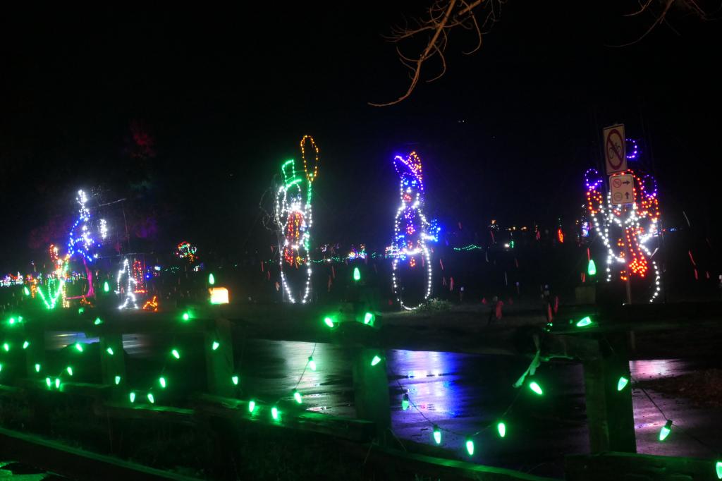142 - 20241212 Festival of Lights Panasonic