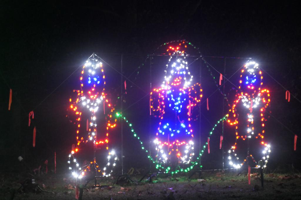 149 - 20241212 Festival of Lights Panasonic