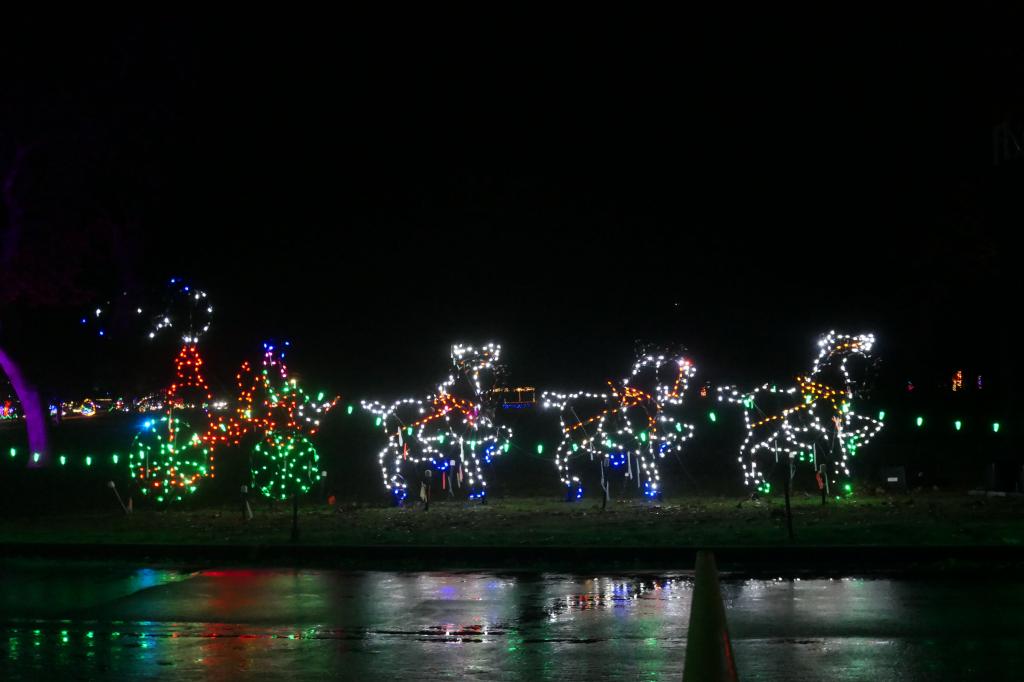 153 - 20241212 Festival of Lights Panasonic